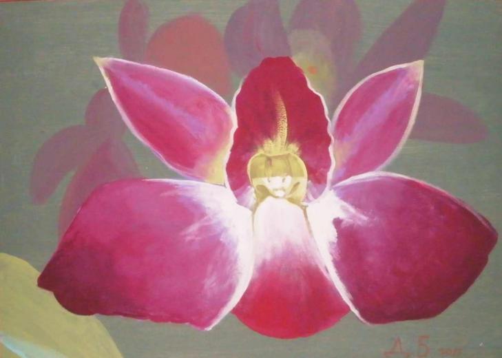Orchid flower - Darija Briukhovych - Click to enlarge