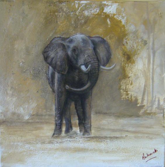 Eléphant surpris - Séverine Antoniotti