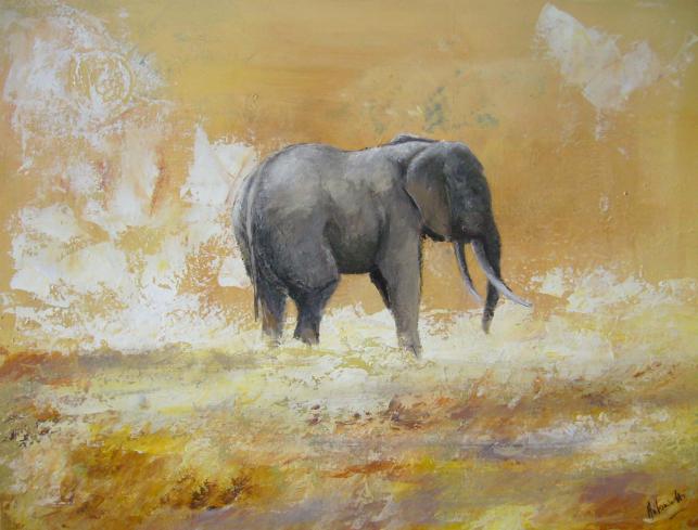 Le solitaire de Kruger - Séverine Antoniotti - Cliquer pour afficher en grand