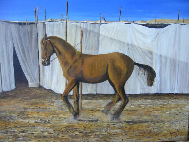 Le cheval du Penjab - Séverine Antoniotti - Click to enlarge