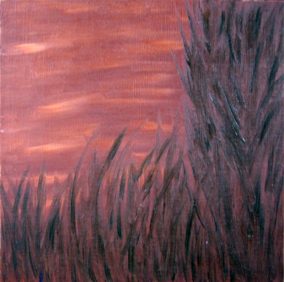 sun's corn - Sof