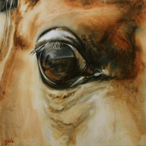 Regard - Bénédicte Gelé