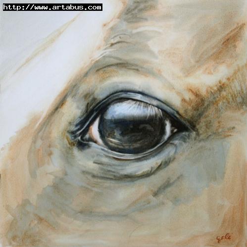 Oeil cheval alezan 4 - Bénédicte Gelé