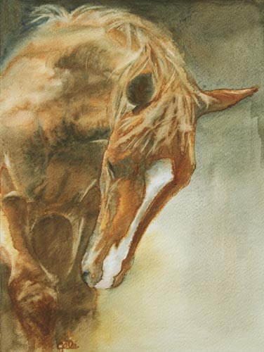 Cheval avant-main face - Bénédicte Gelé