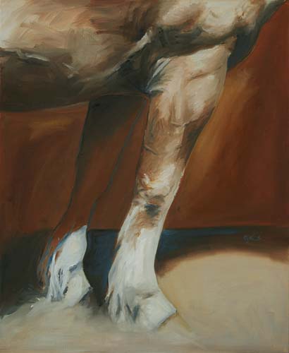 Antérieurs cheval - Bénédicte Gelé