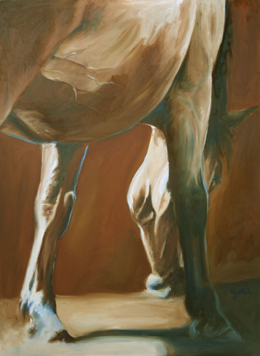 Antérieurs cheval 2 - Bénédicte Gelé