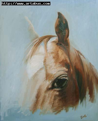 Tête cheval 3/4 - Bénédicte Gelé