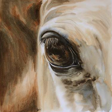 Oeil cheval alezan 2 - Bénédicte Gelé