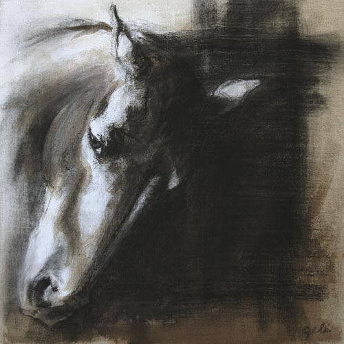 Cheval 5 - Bénédicte Gelé