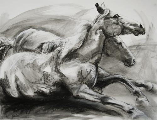 Cheval qui se relève - Bénédicte Gelé