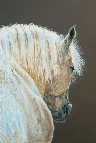 Cheval tête au mur - Bénédicte Gelé