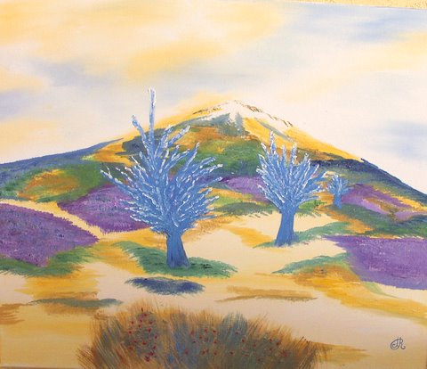 lavende-provence - Marie-Hélène Rossius