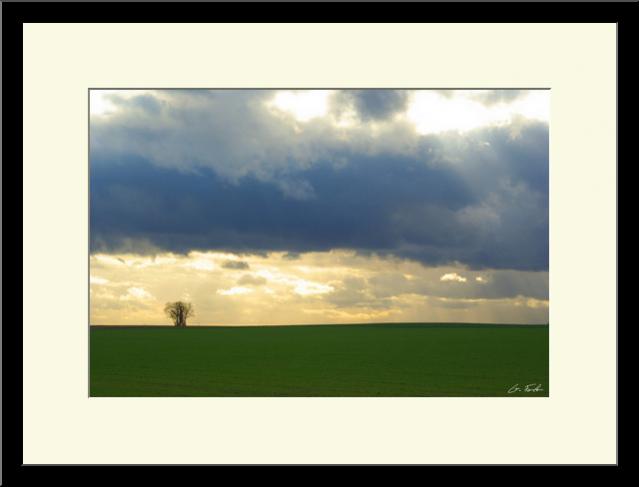 Paysage champêtre 5 - Grégory Foulon - Click to enlarge
