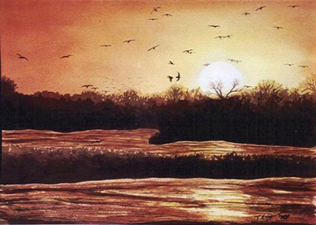 A Long Days Flight - Teresa Kelly-Tagas - Click to enlarge