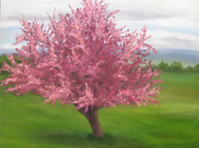 Crabapple Blossoms - Teresa Kelly-Tagas - Click to enlarge