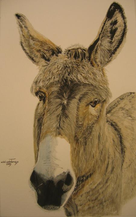 CADICHON 2 - Michel Cendra-Terrassa