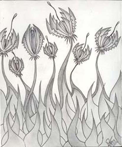 Flowers-predators - Raymond Shumeliov