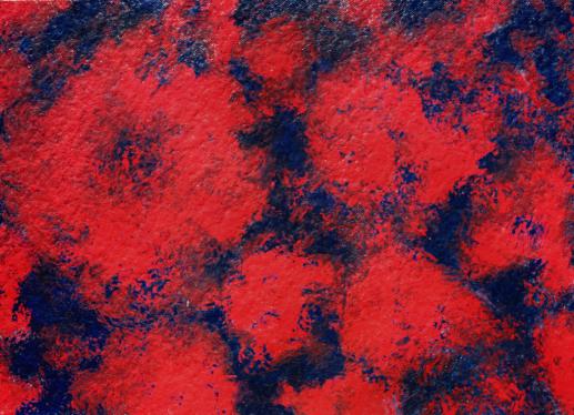 La Genèse des Coquelicots - Pancho