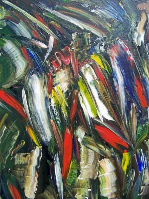 Amazonia - Stéphane Boiset