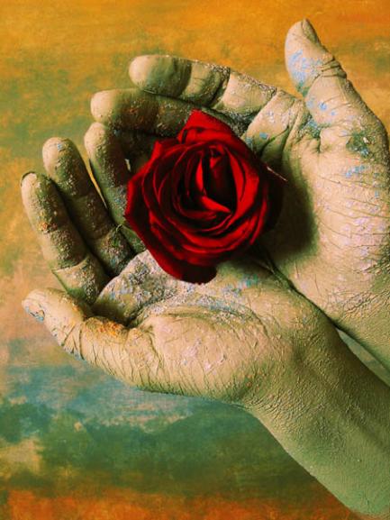 Rose - Jean-François Dupuis