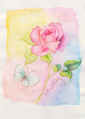 The Delicate Rose - Angela F.