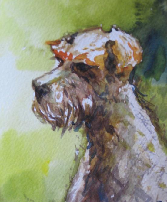 The dog - Anna Wasikiewicz
