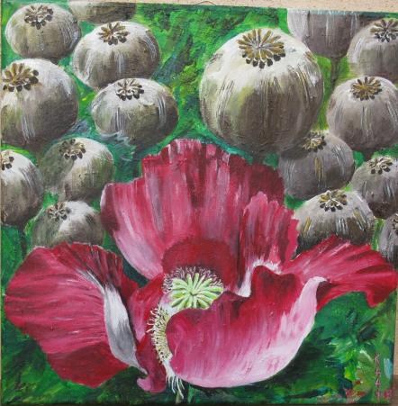 Pavots - Raymond Kaag