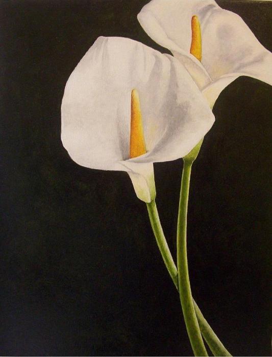 Calas - Cecilia Botero