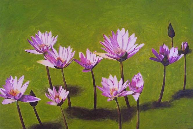 lotus - Cecilia Botero - Cliquer pour afficher en grand