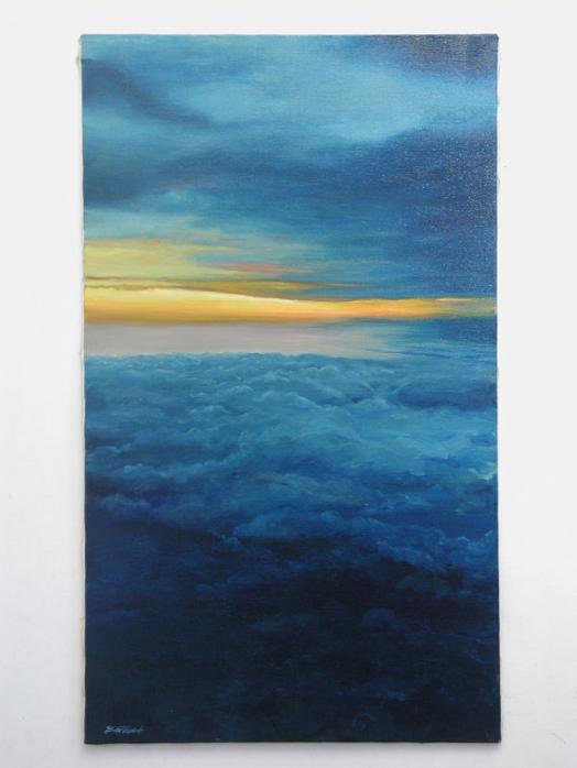 vue aerienne - Bertrand Lataste
