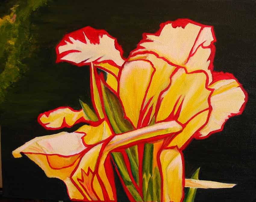 les iris - Patrick Soumet - Click to enlarge