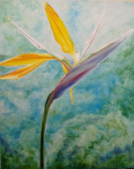 paradise bird - Patrick Soumet