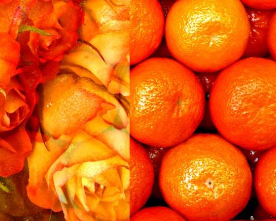 Oranges aux roses - Fluorit