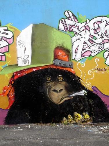 Singe a la cigarette - Fluorit
