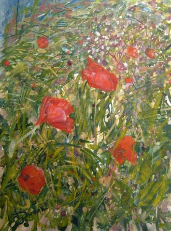 champs de coquelicots 2 - Bruno Dumont
