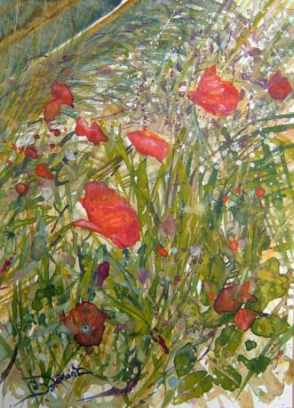 champs de coquelicots 3 - Bruno Dumont