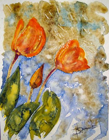 tulipes rouges 2 - Bruno Dumont