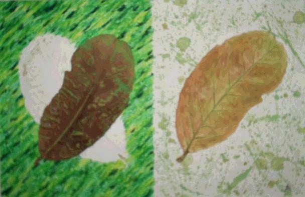 double leaf - Joakim Paz - Cliquer pour afficher en grand