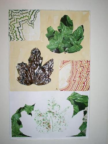 anonymous leaf 3 - Joakim Paz