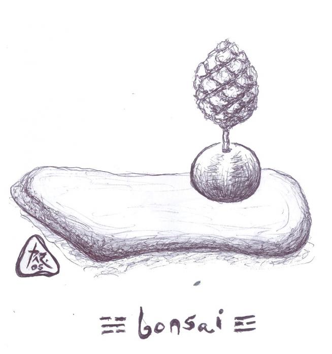 BONSAI - Joakim Paz - Click to enlarge
