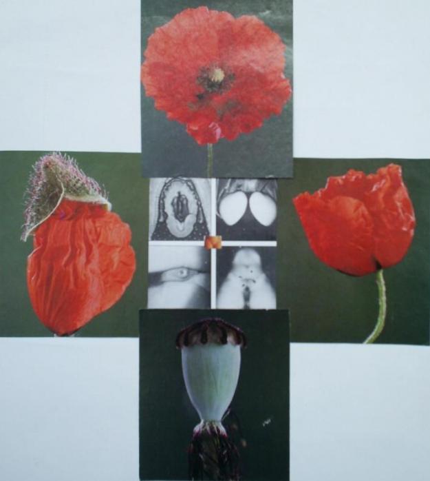 RED CROSS - Joakim Paz - Click to enlarge