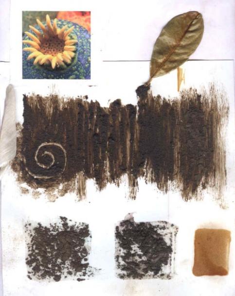 GOLDEN BROWN - Joakim Paz