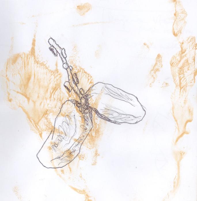 tamaras - Joakim Paz - Cliquer pour afficher en grand