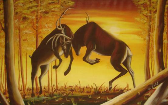 le combat des cerfs - Leila Ameddah