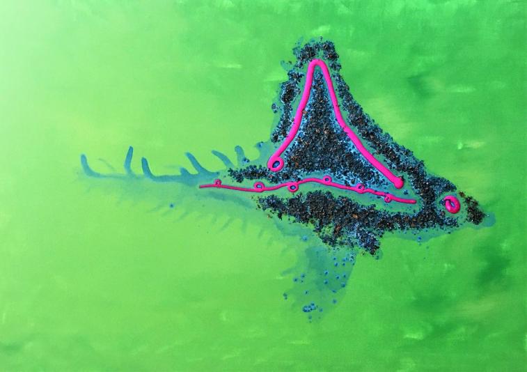 OCELLO - Sergio Illuminato - Click to enlarge