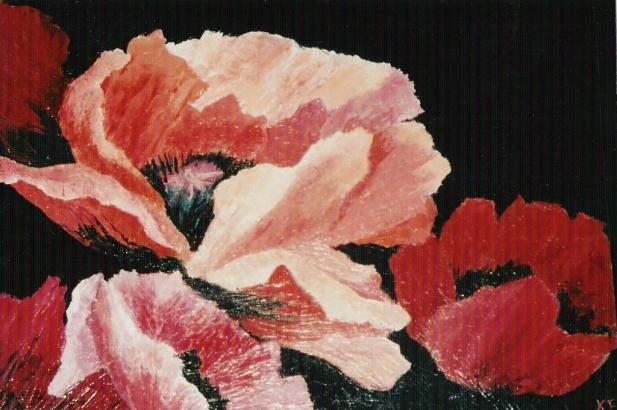 Pavots - Karin Frobe - Cliquer pour afficher en grand