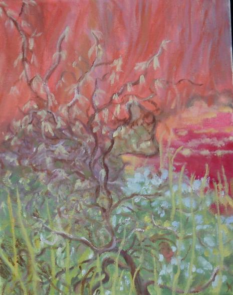 Spring to Summer - Karin Frobe