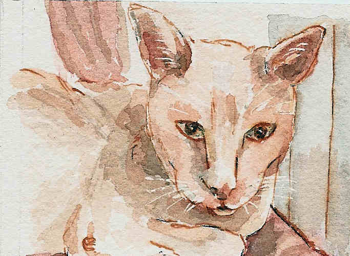 Porcelaine - Alain Letendre - Click to enlarge