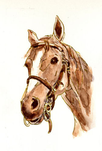 Tête de cheval - Alain Letendre