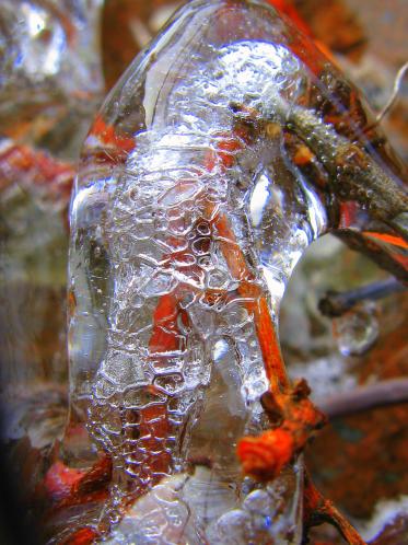 Ice texture - Olga Osi